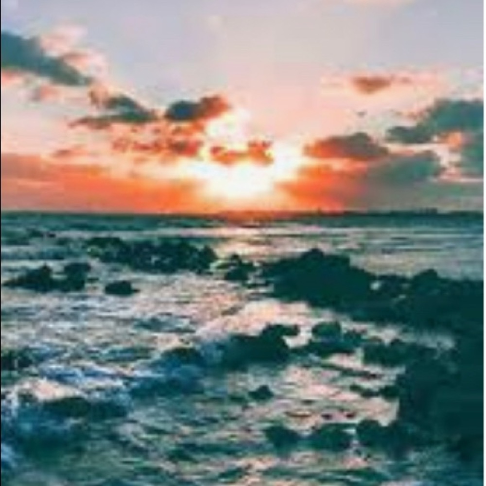 Meet your Posher, Penelope